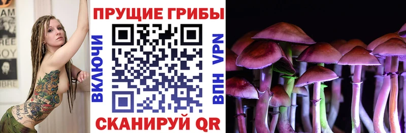 Галлюциногенные грибы Psilocybe  МЕГА ССЫЛКА  Новая Ляля 